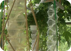 S001：植物用